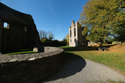 Den eigenen Bildern Kraft geben - Einführung in die Bildbearbeitung