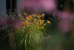 Den eigenen Bildern Kraft geben - Einführung in die Bildbearbeitung