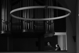 Den eigenen Bildern Kraft geben - Einführung in die Bildbearbeitung