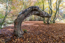 Den eigenen Bildern Kraft geben - Einführung in die Bildbearbeitung