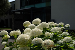 Einfach machen - Basiswissen Digitalfotografie