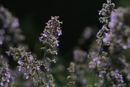 Einfach machen - Basiswissen Digitalfotografie