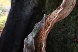 Einfach machen - Basiswissen Digitalfotografie