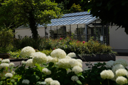 Bessere Bilder – besseres Leben. Was wir von der Fotografie für das Leben lernen können