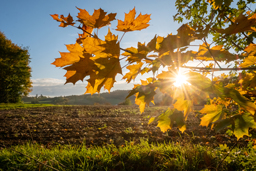 Bessere Bilder – besseres Leben. Was wir von der Fotografie für das Leben lernen können