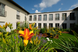 Bessere Bilder – besseres Leben. Was wir von der Fotografie für das Leben lernen können