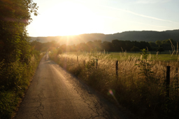Das fotografische Auge - Aus guten Motiven starke Bilder machen