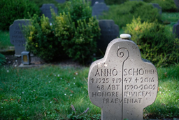 Das fotografische Auge - Aus guten Motiven starke Bilder machen