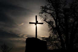 Einzelbild und Bildserie – Entdecke die Kunst des fotografischen Sehens rund um das Laacher Kloster