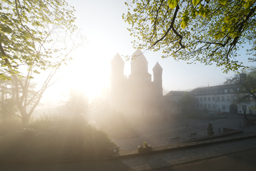 Einzelbild und Bildserie – Entdecke die Kunst des fotografischen Sehens rund um das Laacher Kloster