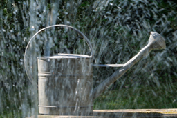 Bessere Bilder – besseres Leben