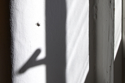 Weniger ist mehr - Faszination Schwarz-Weiß Fotografie