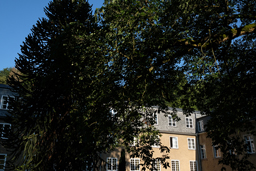 Architekturfotografie – Fotografieren in der Laacher Klosterlandschaft